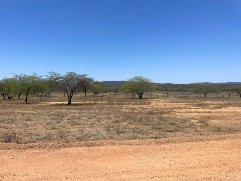 Fazenda, 3000 hectares - Foto 12