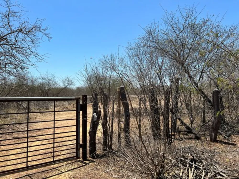 Fazenda, 3000 hectares - Foto 19