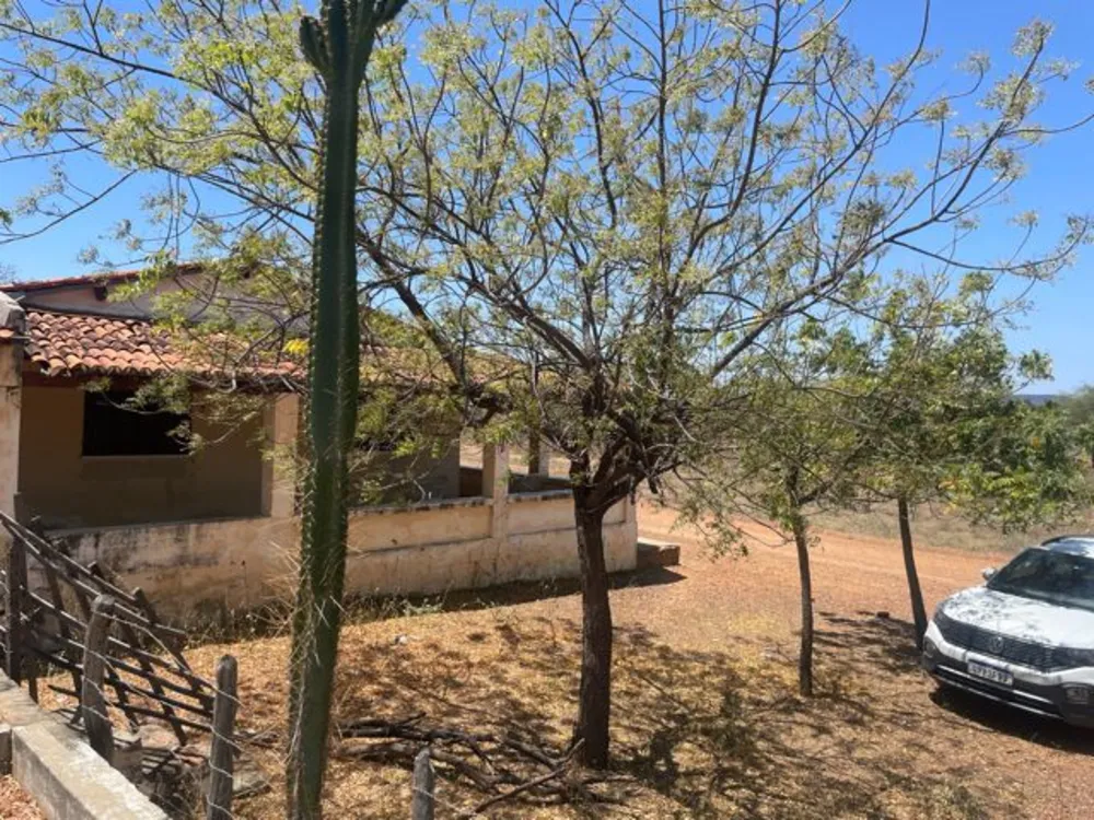 Fazenda, 3000 hectares - Foto 8