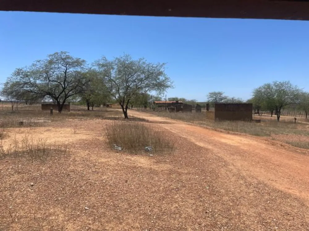 Fazenda, 3000 hectares - Foto 7