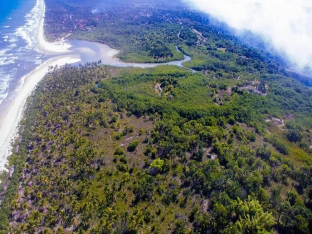 Terreno, 275000 m² - Foto 19