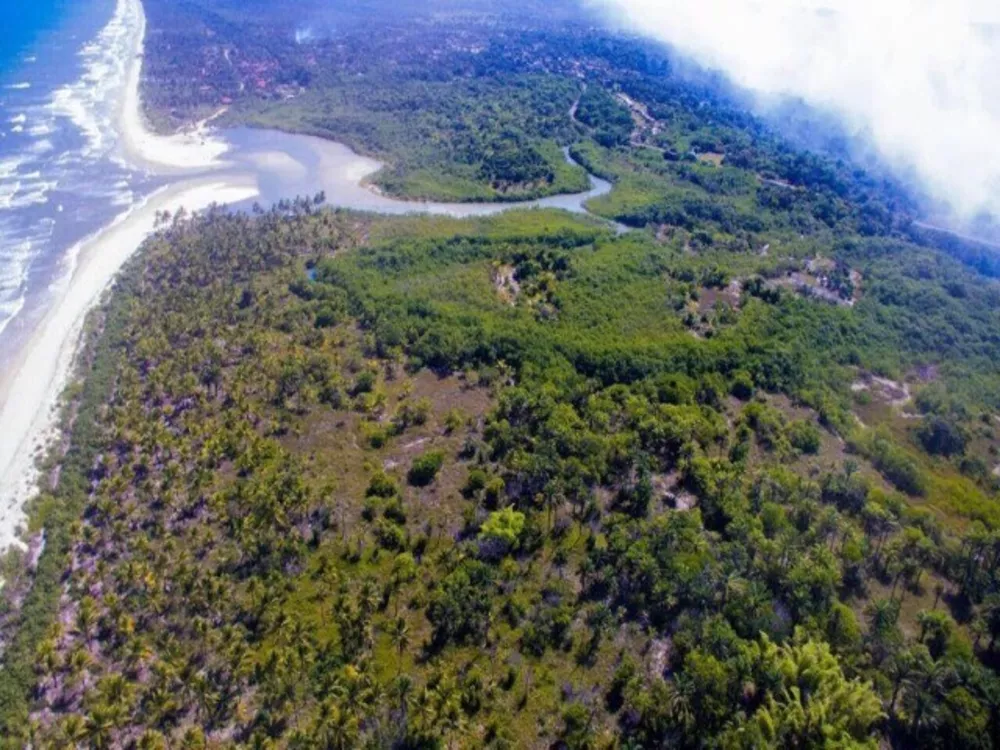 Terreno à venda, 275000m² - Foto 2