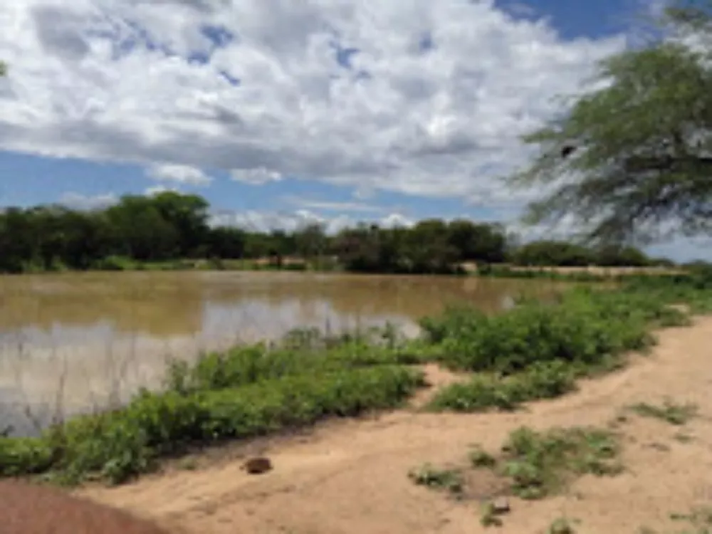 Fazenda, 2574 hectares - Foto 1