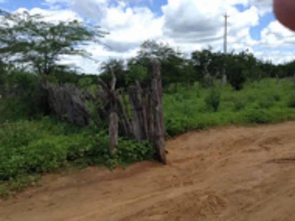 Fazenda, 2574 hectares - Foto 7