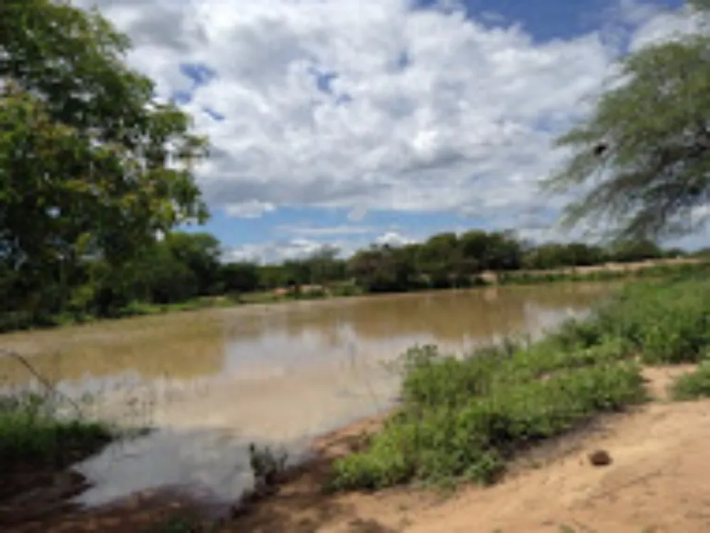 Fazenda, 2574 hectares - Foto 8