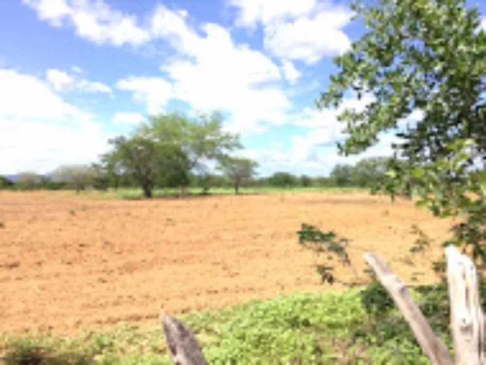 Fazenda, 2574 hectares - Foto 6