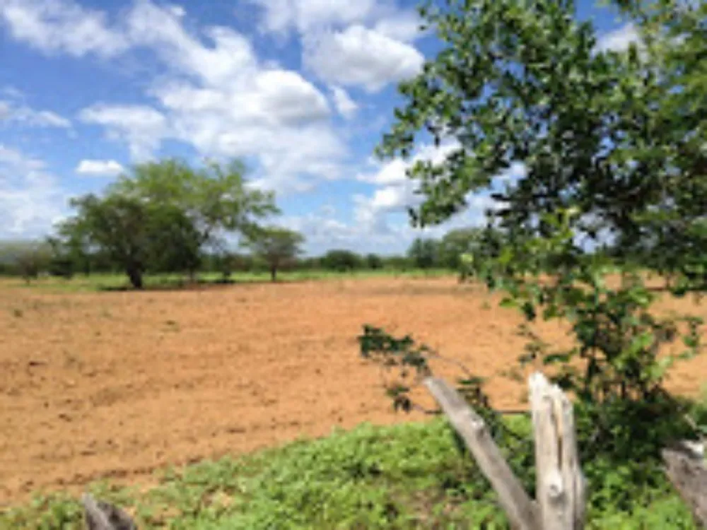Fazenda, 2574 hectares - Foto 5