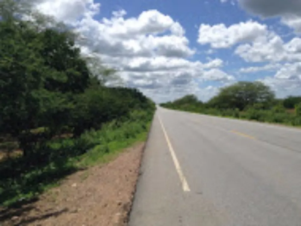 Fazenda, 2574 hectares - Foto 2