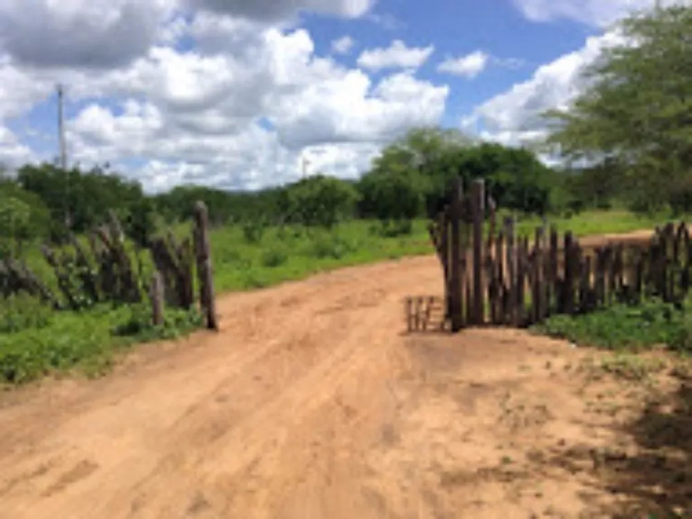 Fazenda, 2574 hectares - Foto 3