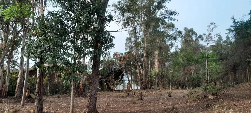 Loteamento e Condomínio, 2100 m² - Foto 2