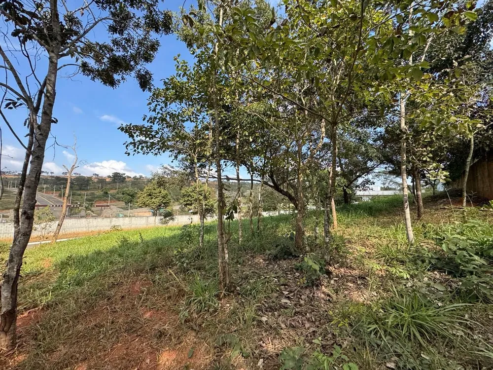 Loteamento e Condomínio, 530 m² - Foto 3