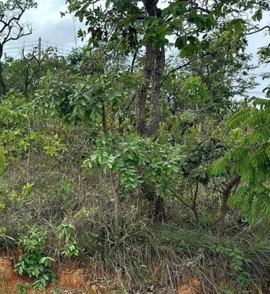 Loteamento e Condomínio, 419 m² - Foto 4