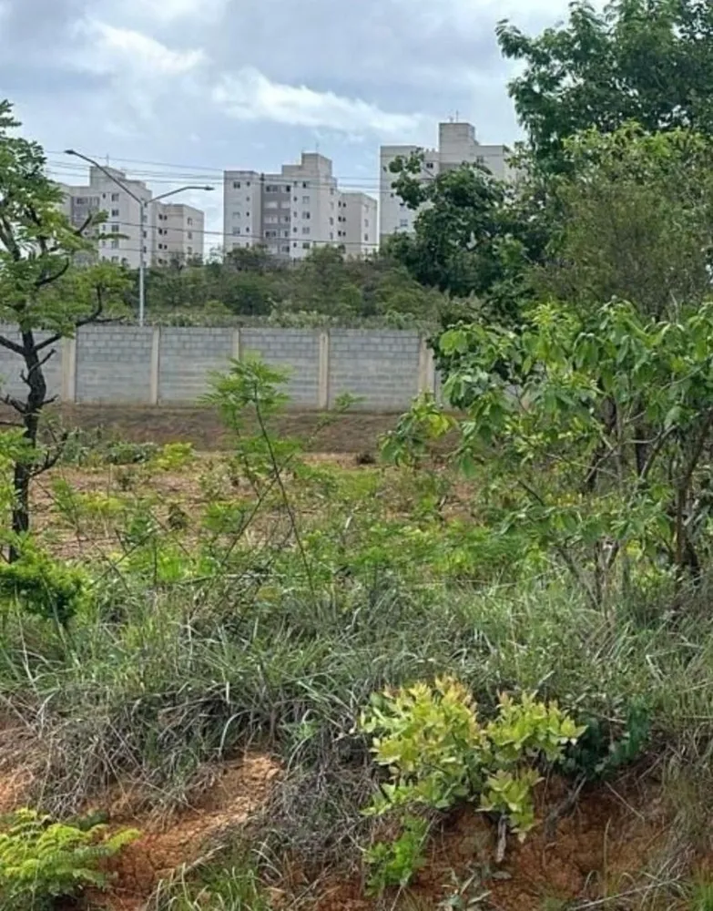 Loteamento e Condomínio, 419 m² - Foto 3