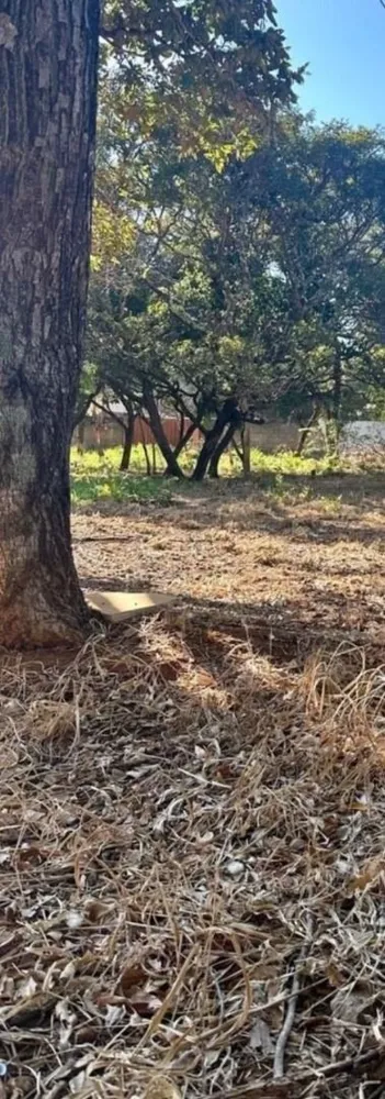 Terreno, 1000 m² - Foto 4