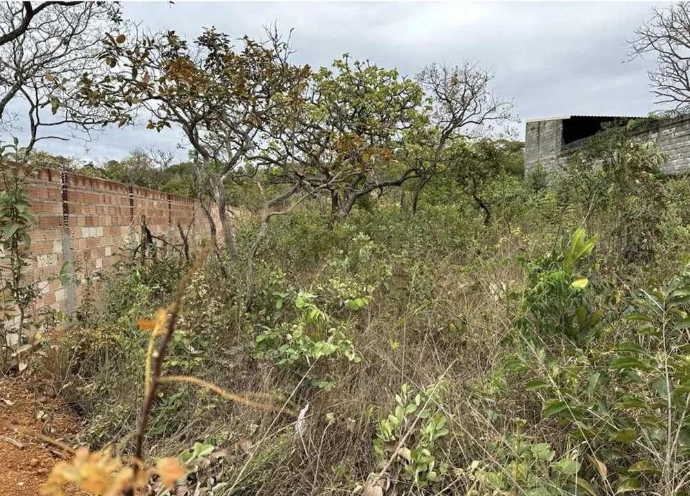 Terreno, 1060 m² - Foto 4