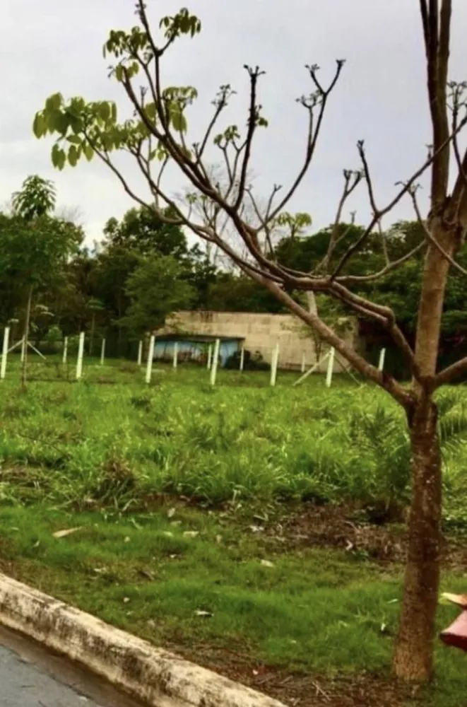 Loteamento e Condomínio, 1000 m² - Foto 3