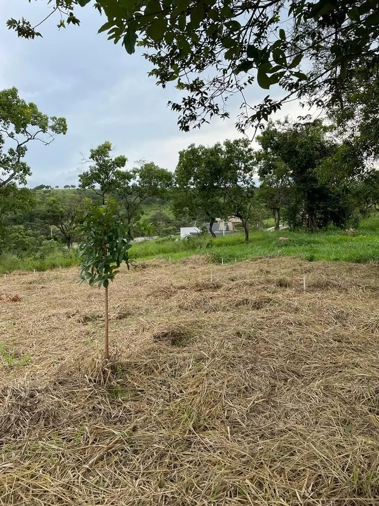 Loteamento e Condomínio, 692 m² - Foto 2