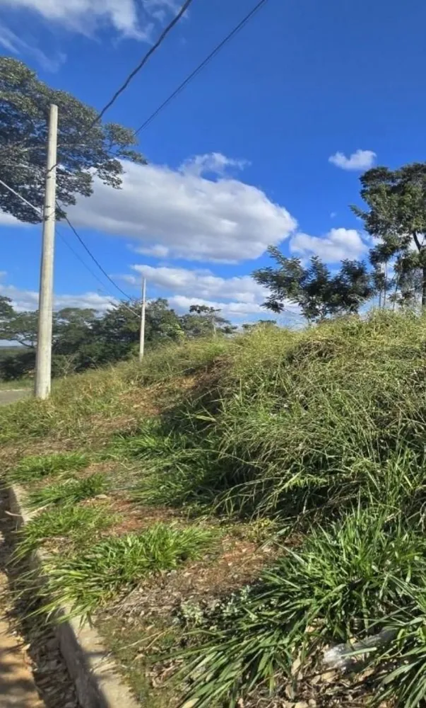 Loteamento e Condomínio, 1000 m² - Foto 3