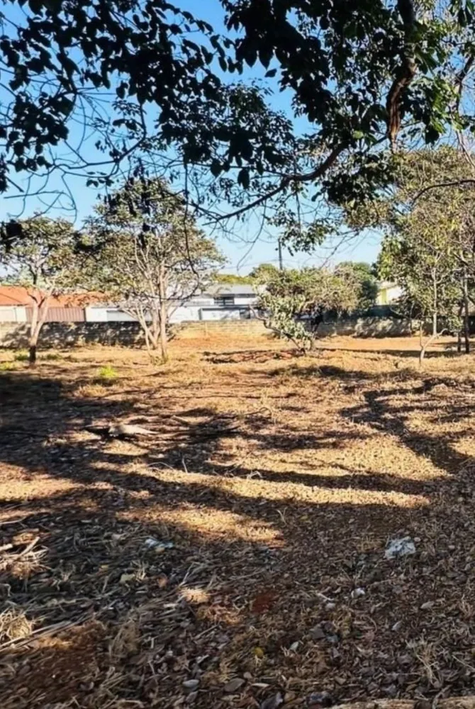 Terreno, 1000 m² - Foto 1