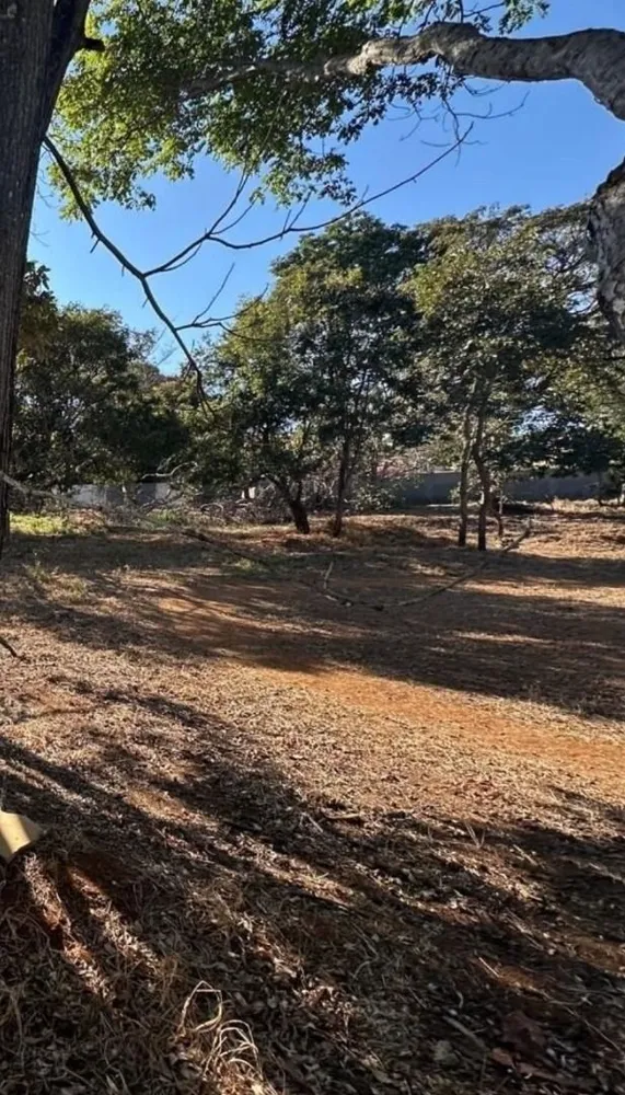 Terreno, 1000 m² - Foto 3
