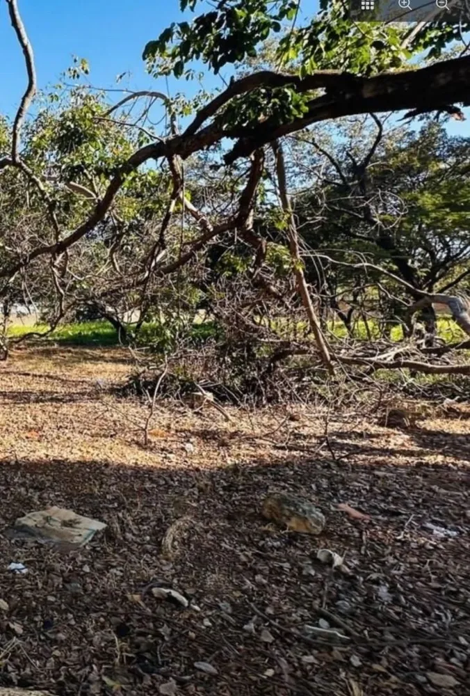 Terreno, 1000 m² - Foto 4