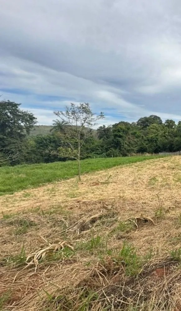 Loteamento e Condomínio, 1079 m² - Foto 2