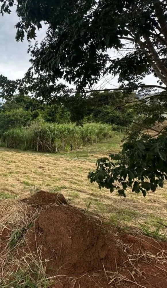 Loteamento e Condomínio, 1079 m² - Foto 3