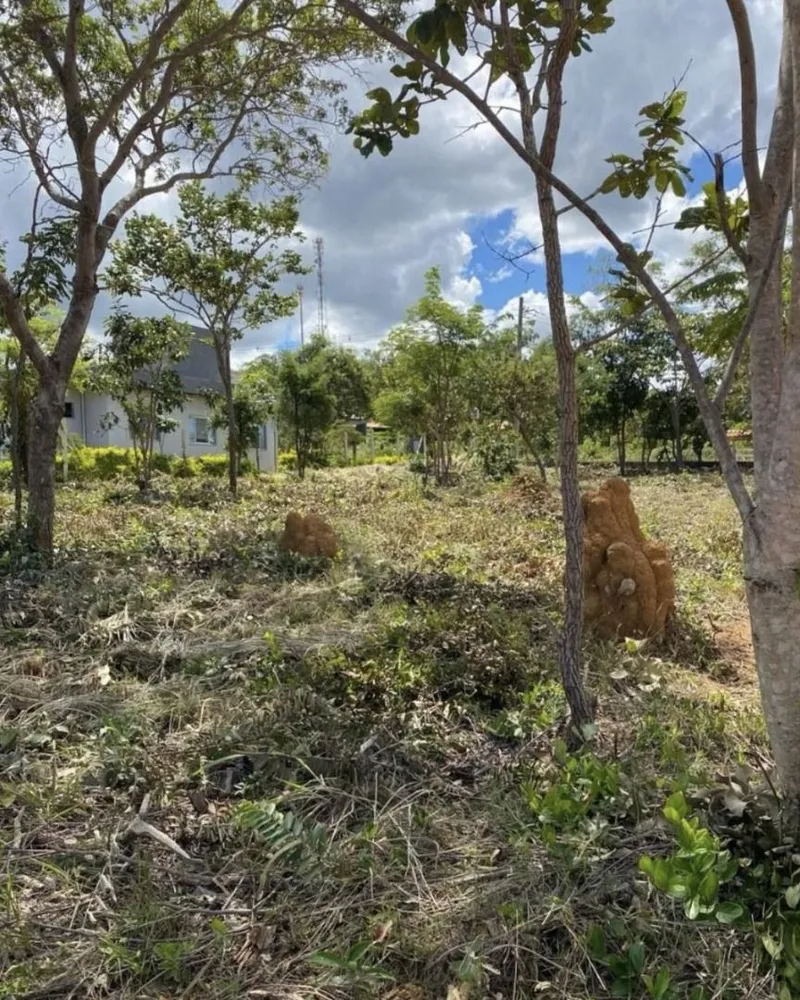 Terreno, 1000 m² - Foto 1
