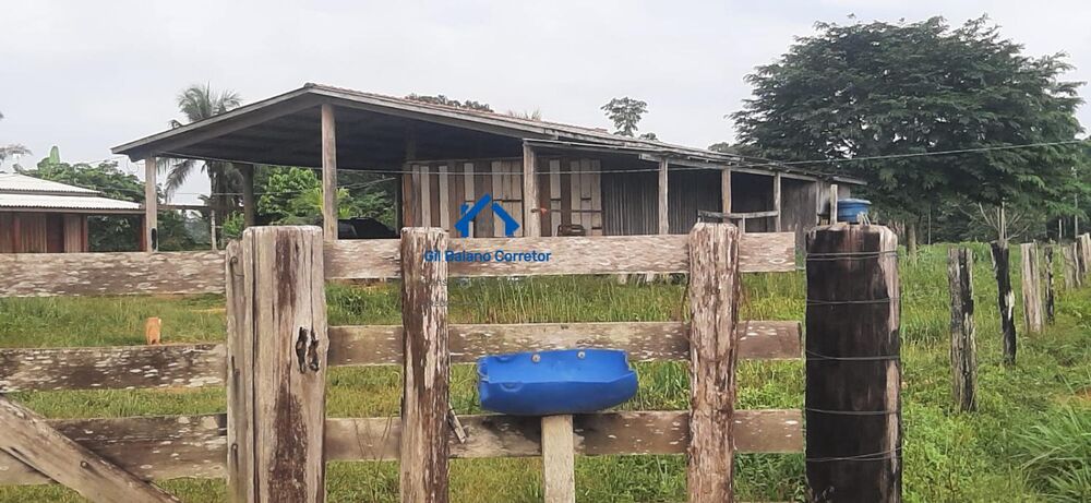 Fazenda à venda com 2 quartos - Foto 3