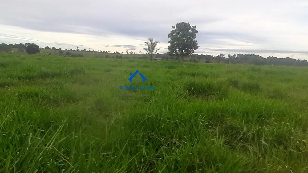 Fazenda à venda com 2 quartos - Foto 4