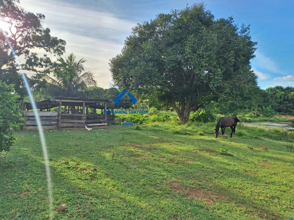 Chácara, 2 quartos - Foto 4