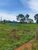 Fazenda - Foto 5