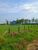 Fazenda, 1 quarto - Foto 5