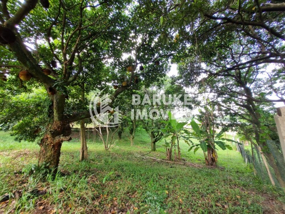 Terreno à venda, 3000m² - Foto 1