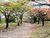Terreno, 360 m² - Foto 1
