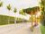 Terreno, 360 m² - Foto 4
