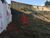 Terreno, 250 m² - Foto 4