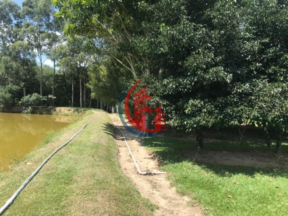 Sítio, 4 quartos, 3 hectares - Foto 2