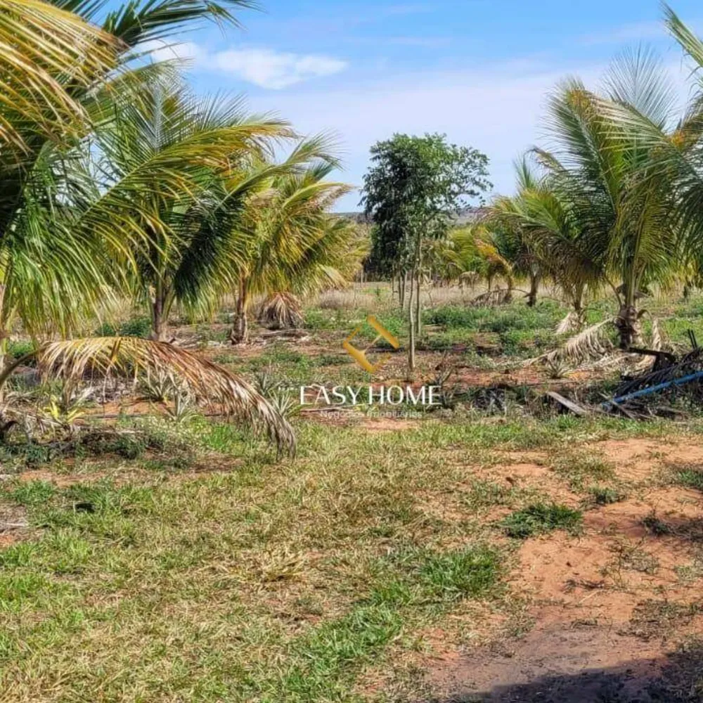 Chácara, 2 quartos, 6 hectares - Foto 6