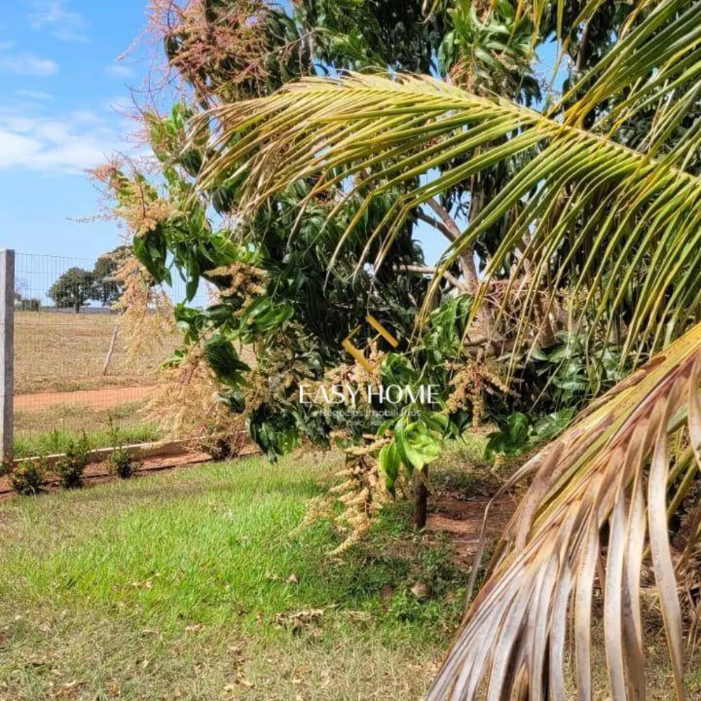 Chácara, 2 quartos, 6 hectares - Foto 14