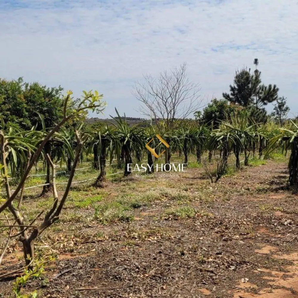 Chácara, 2 quartos, 6 hectares - Foto 19