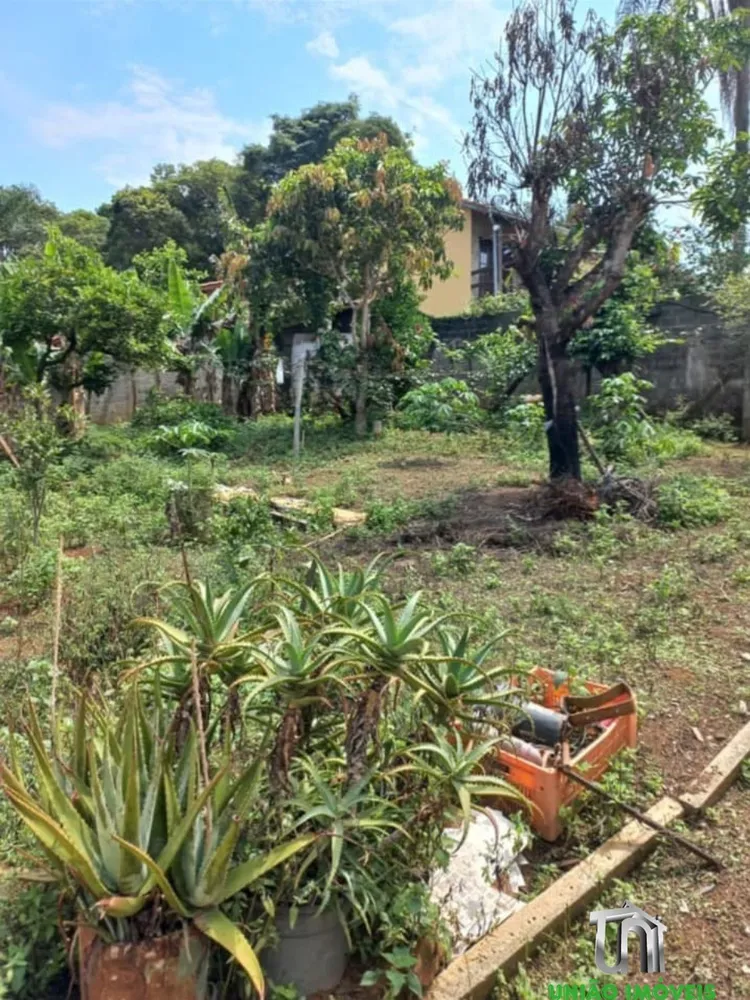 Chácara, 5 quartos - Foto 6