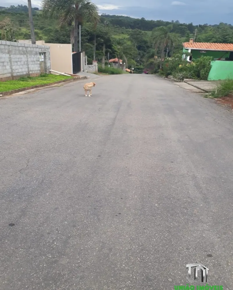 Chácara, 2 quartos, 1000 m² - Foto 5