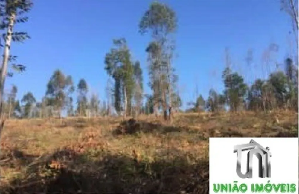 Terreno, 2500 m² - Foto 3