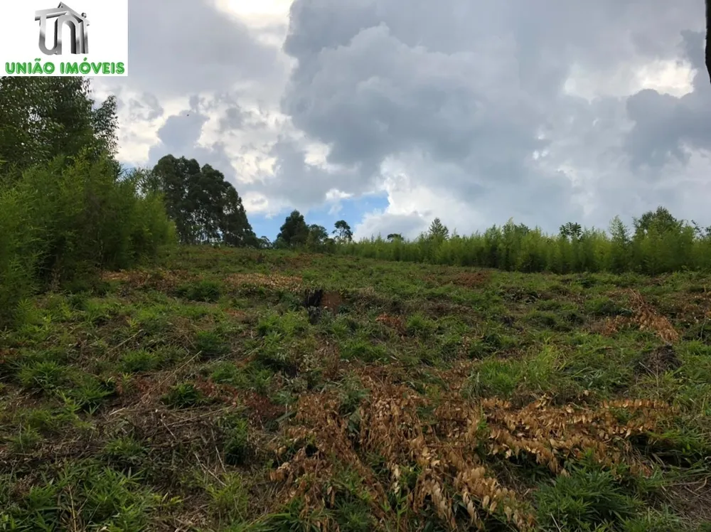 Terreno, 2500 m² - Foto 2
