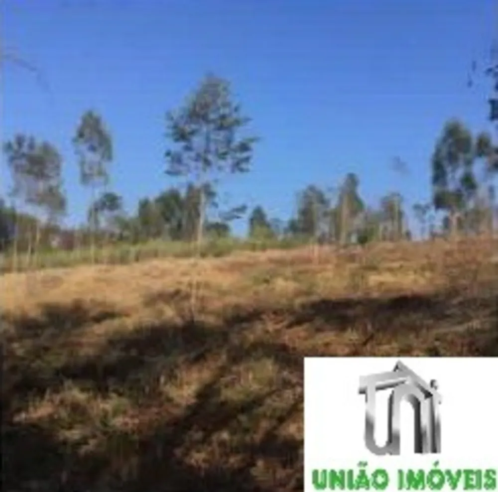 Terreno, 2500 m² - Foto 4