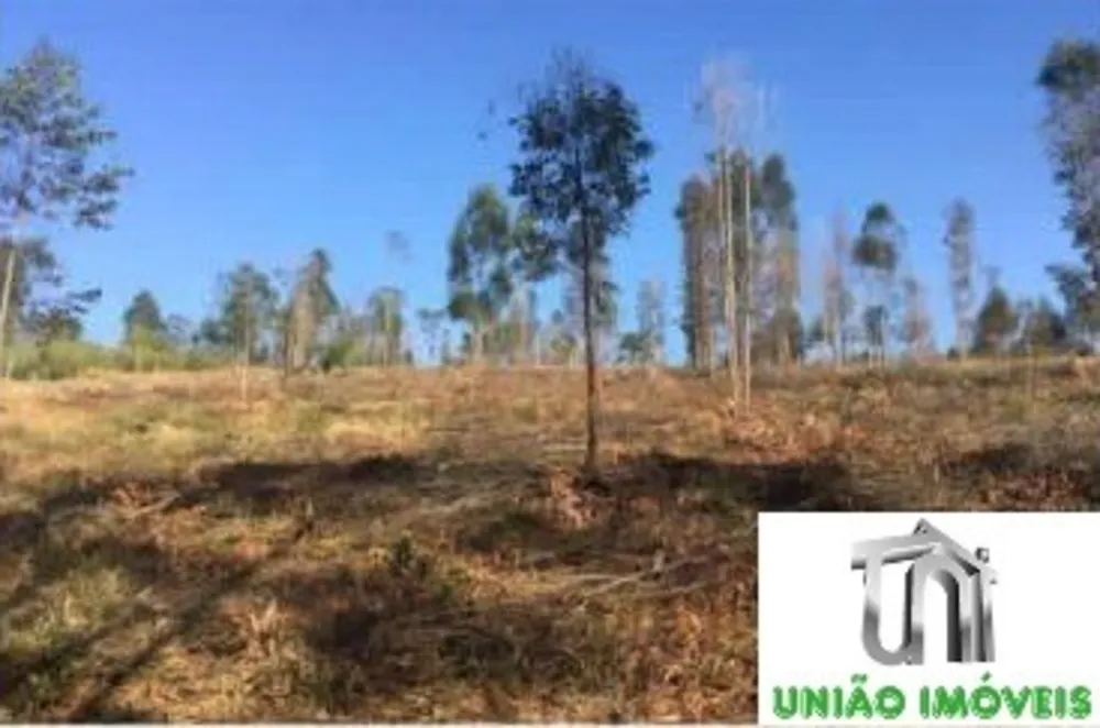 Terreno, 2500 m² - Foto 1