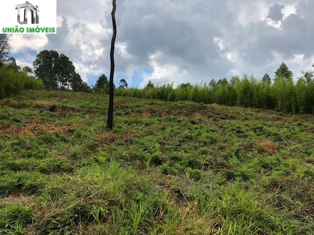 Terreno, 2500 m² - Foto 1