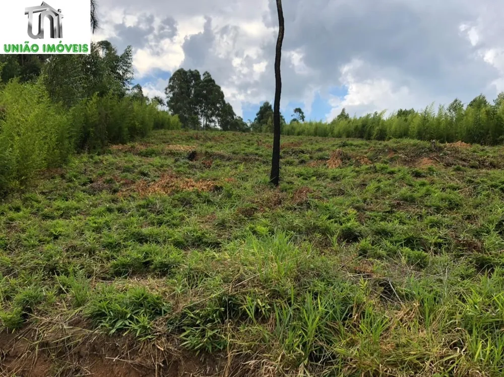 Terreno, 2500 m² - Foto 8