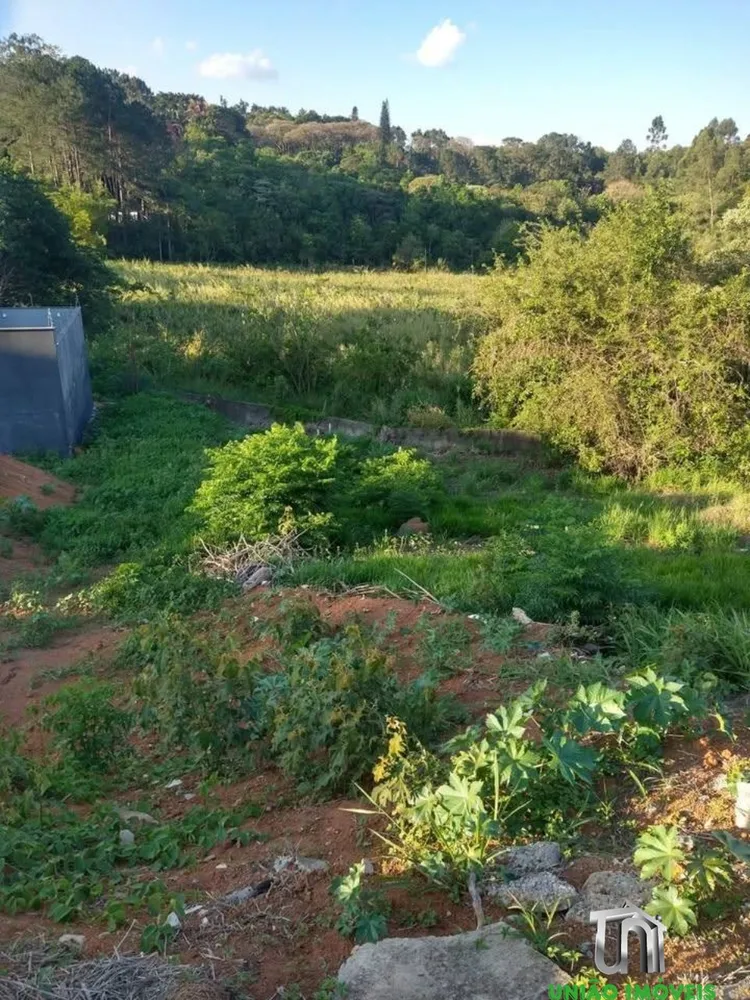 Terreno, 333 m² - Foto 1